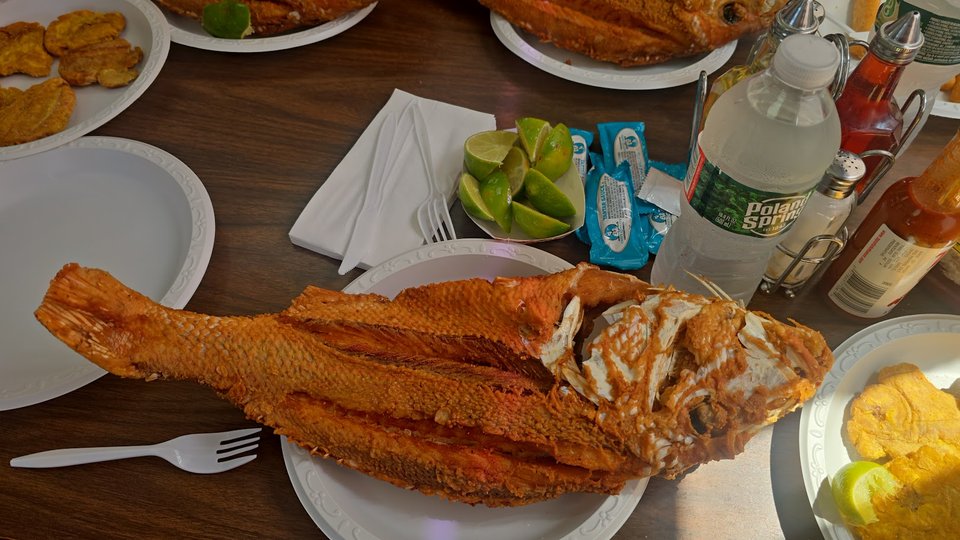 Assorted seafood trays ready for serving.