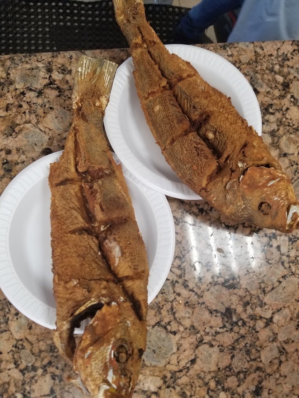 Fish Red Snapper
