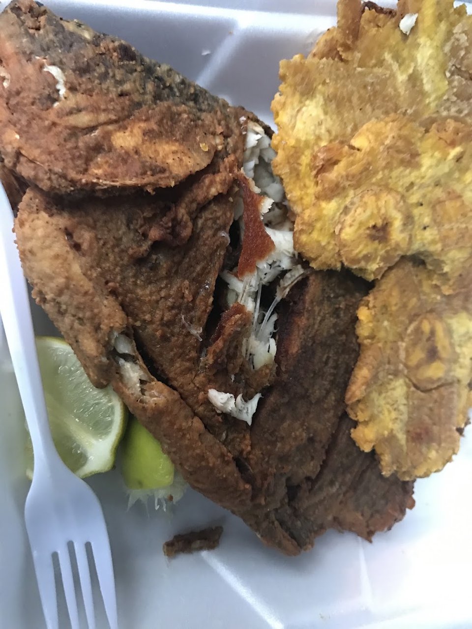 Fish Tilapia